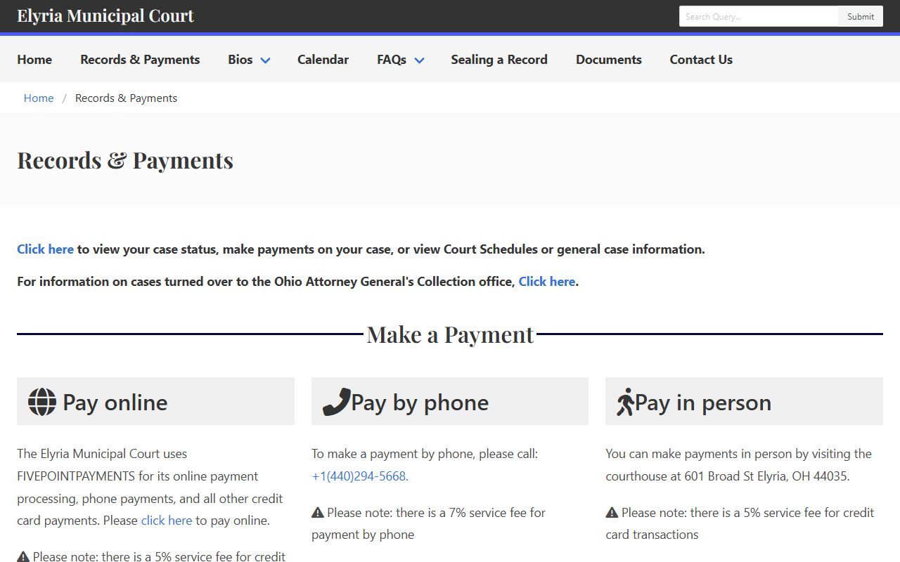 Elyria Ohio court docket records and payments portal