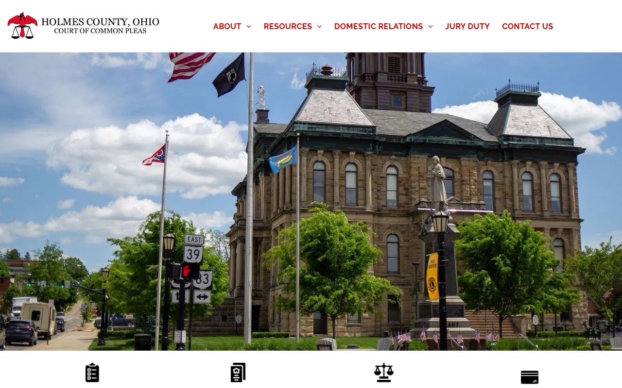 Holmes County Court of Common Pleas website for court docket records