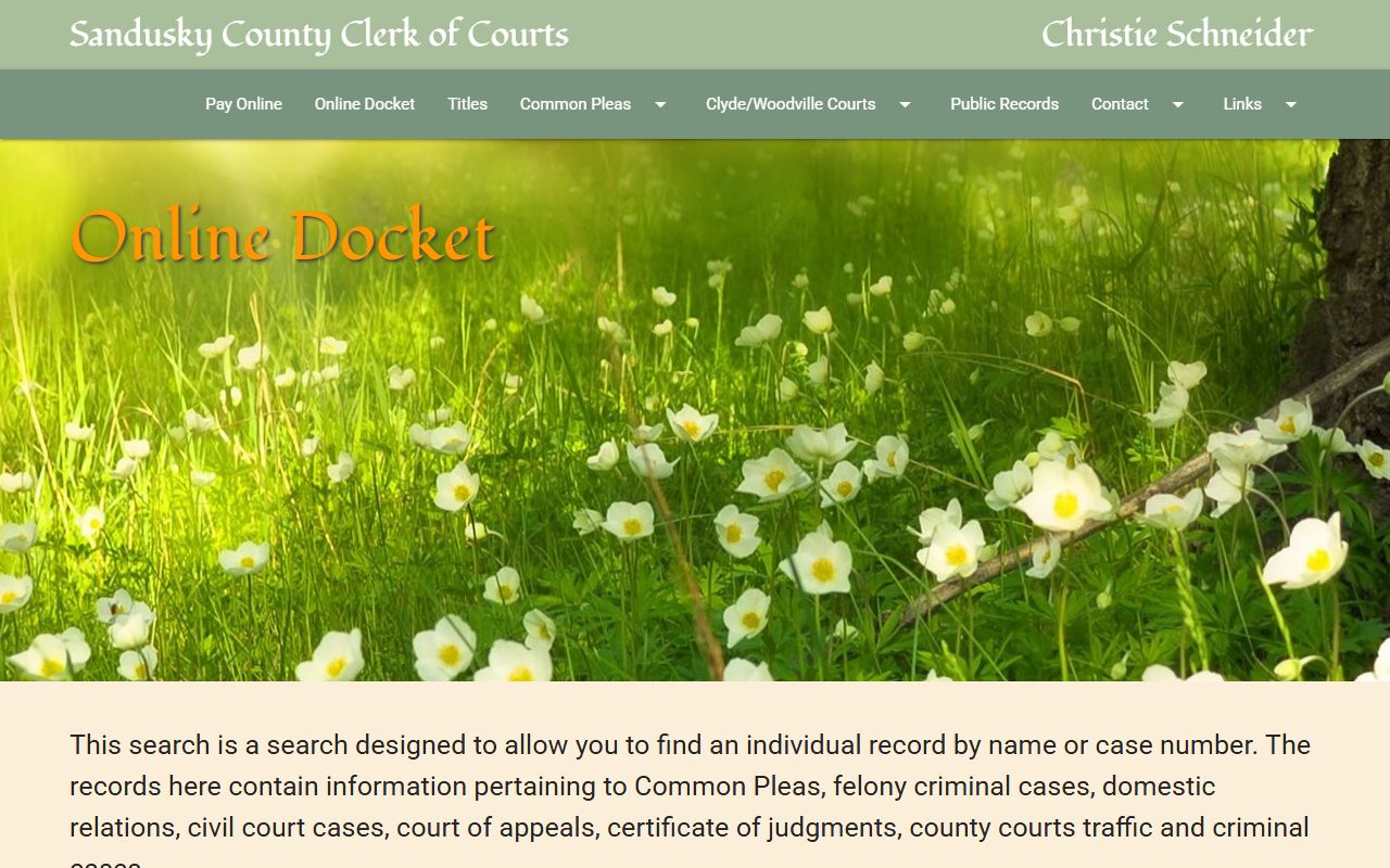 Sandusky County Ohio court docket online search portal