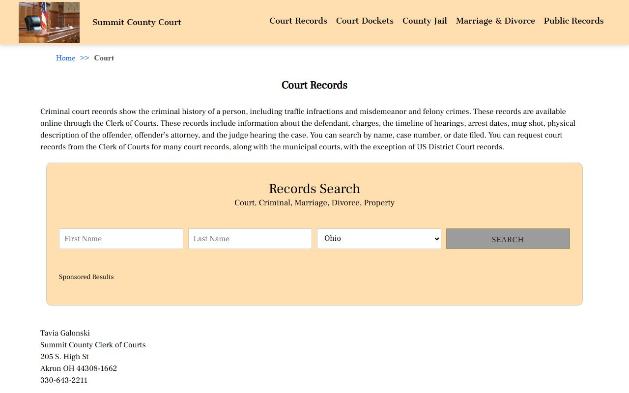 Summit County Ohio court docket records search page